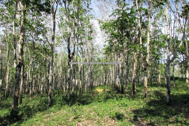 Fabio Paes Imóveis - Fazenda 28 alq - luxo - Oportunidade!!! - Foto 17