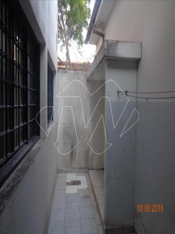 Comercial no Jardim Primavera em Araraquara cod: 31878 - Foto 14