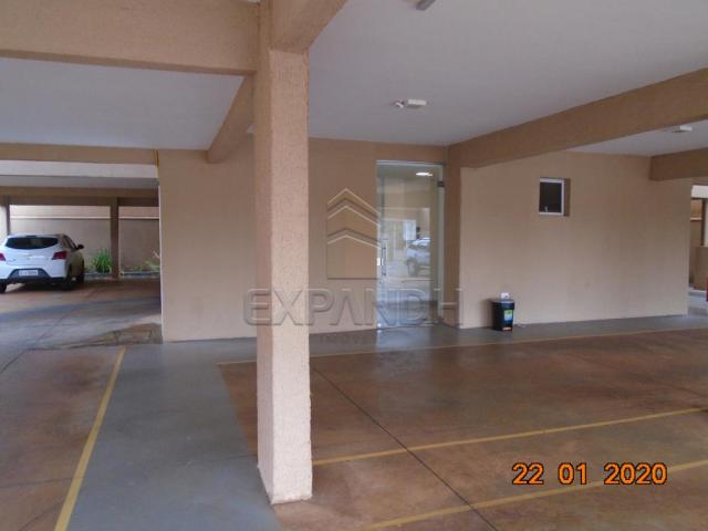 Apartamento para alugar com 2 dormitórios em Jardim eldorado, Sertaozinho cod:L8087 - Foto 5