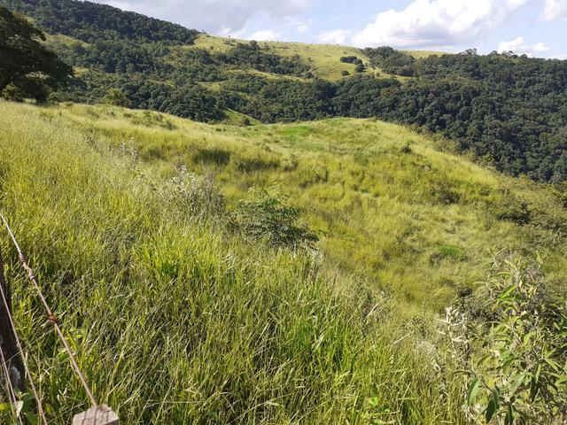 Arrenda -Fazenda Agricultura e Pecuária- - Foto 18