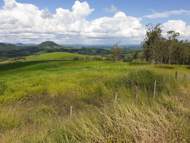 Arrenda -Fazenda Agricultura e Pecuária- - Foto 11