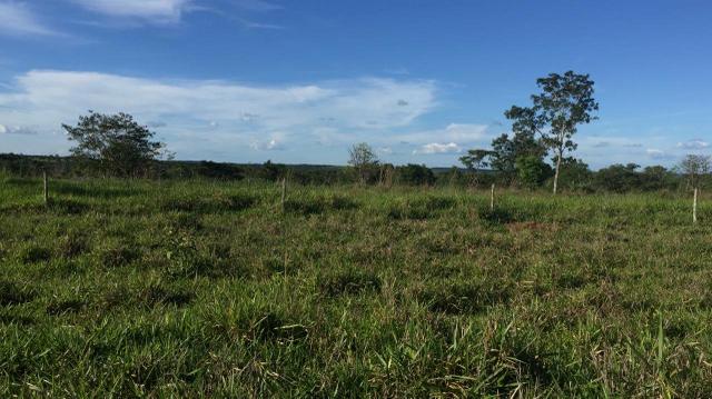 Fazenda 15 alqueires | 40 km Goiânia | 10 km dream park - Foto 5