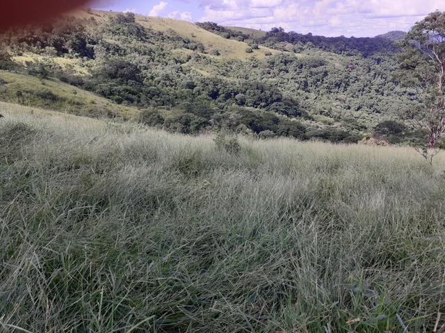Arrenda -Fazenda Agricultura e Pecuária- - Foto 14