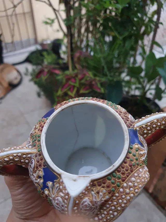 Açucareiro japonês  - Foto 2