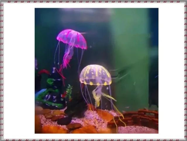 Água viva fluorescente com 15 cm x 5 cm em cores vibrantes  - Foto 3