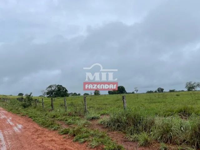 Fazenda De 785 Alqueires 3800 Hectares Em Cocalinho Mato Grosso Terrenos Sítios E Fazendas 6718