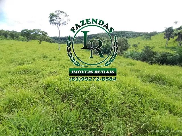 Chácara/Fazenda 11 alqueires  Próximo a Palmas - Foto 13