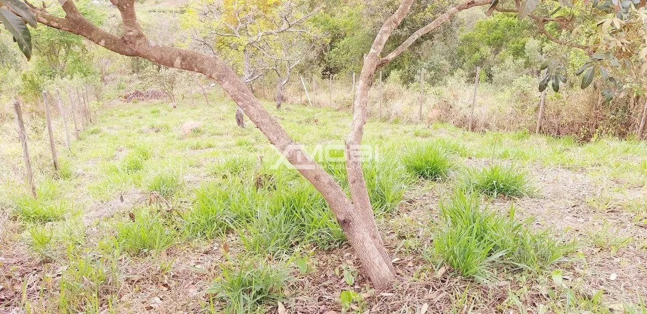 Terreno à venda, 250 m² por R$ 82.000 .00- Jarinu - Jarinu/SP - Foto 3