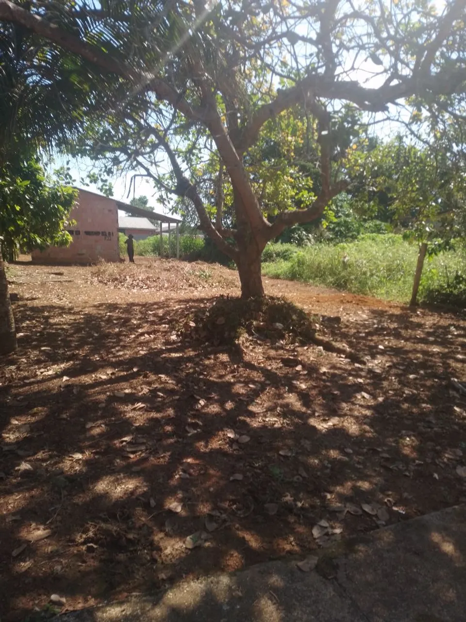 Vendo terreno município purupuru Careiro castanho