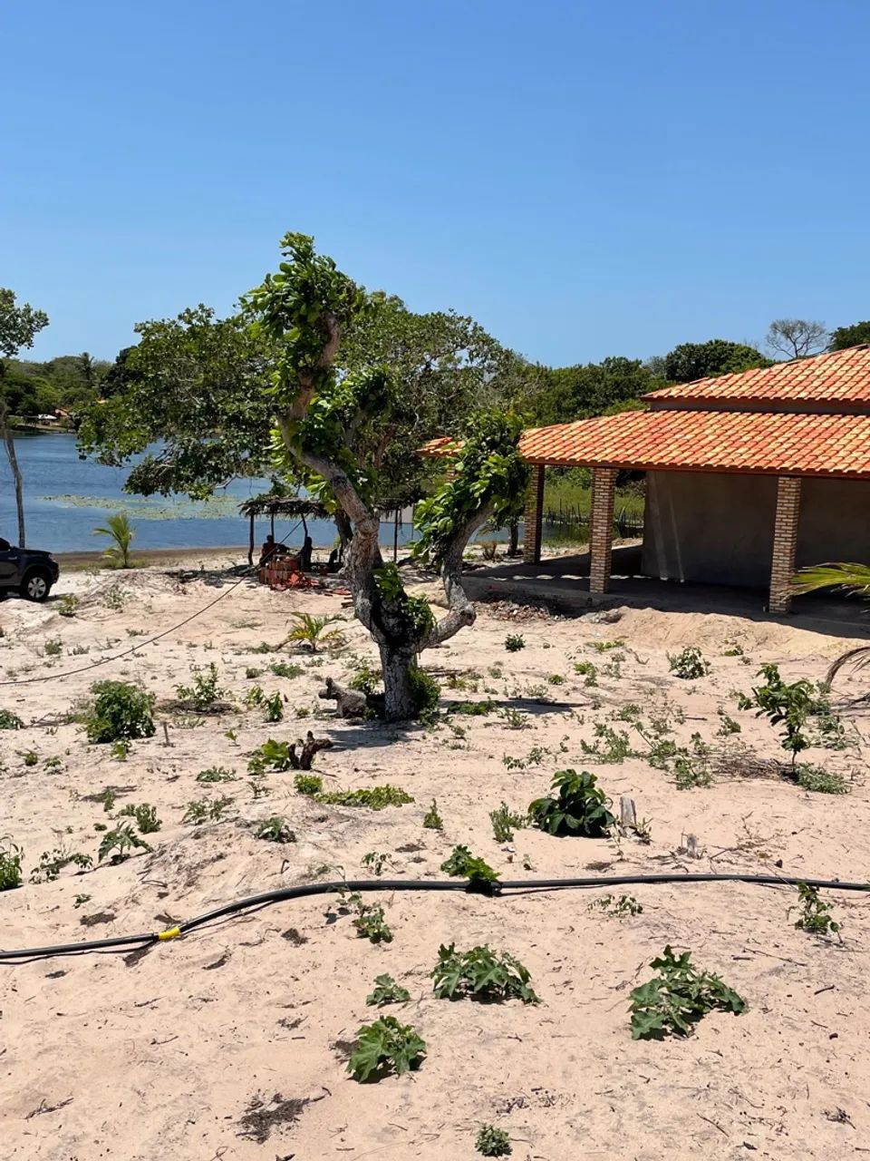 Vendo um paraíso no Trairi o sonho pra toda família sem igual uma benção de Deus - Foto 3