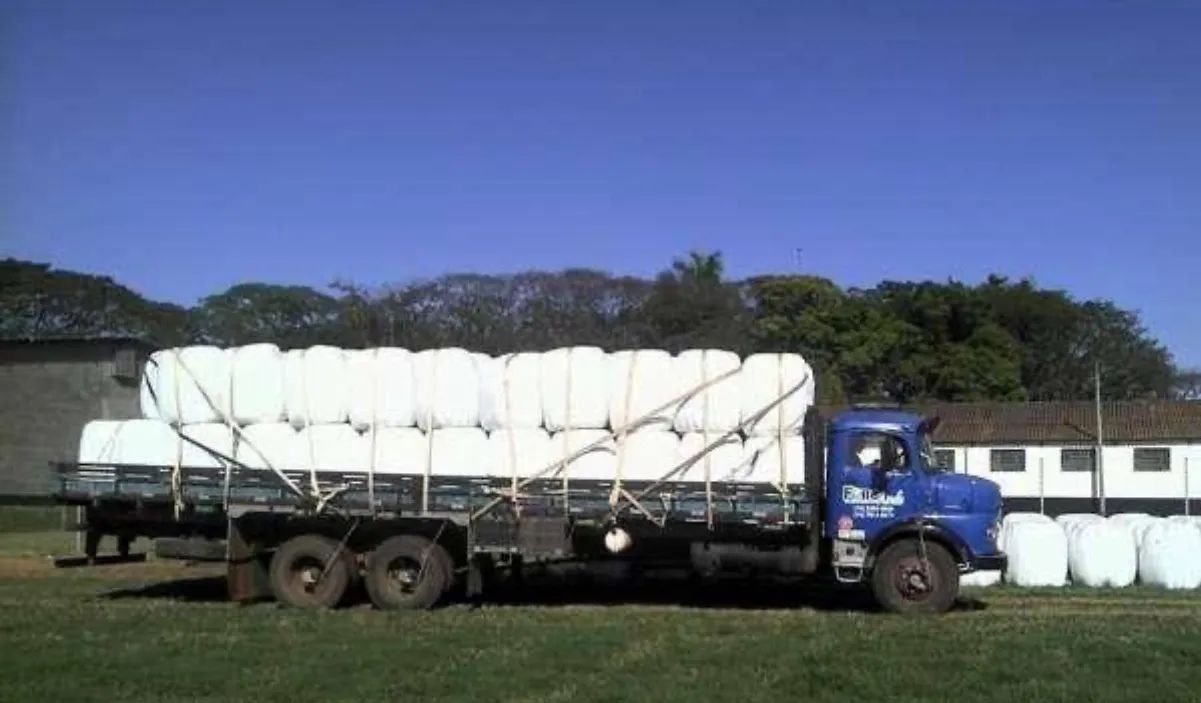 Vendo feno tipo Apré secado entrego sem custo de frete - Foto 4