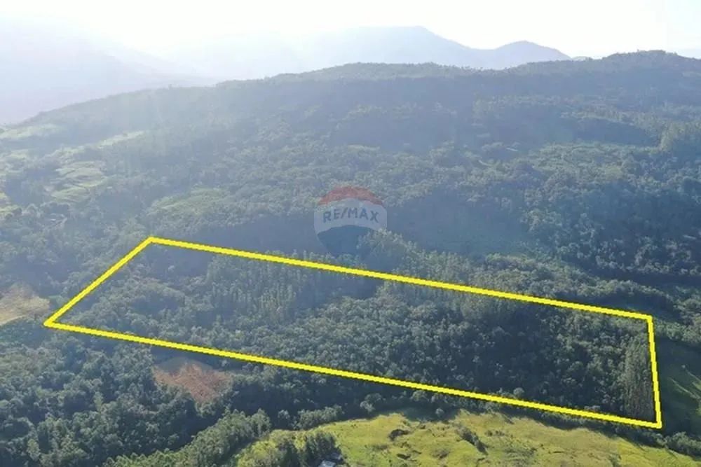 Área Rural de 150.000m² no Engenho Velho em Jacinto Machado