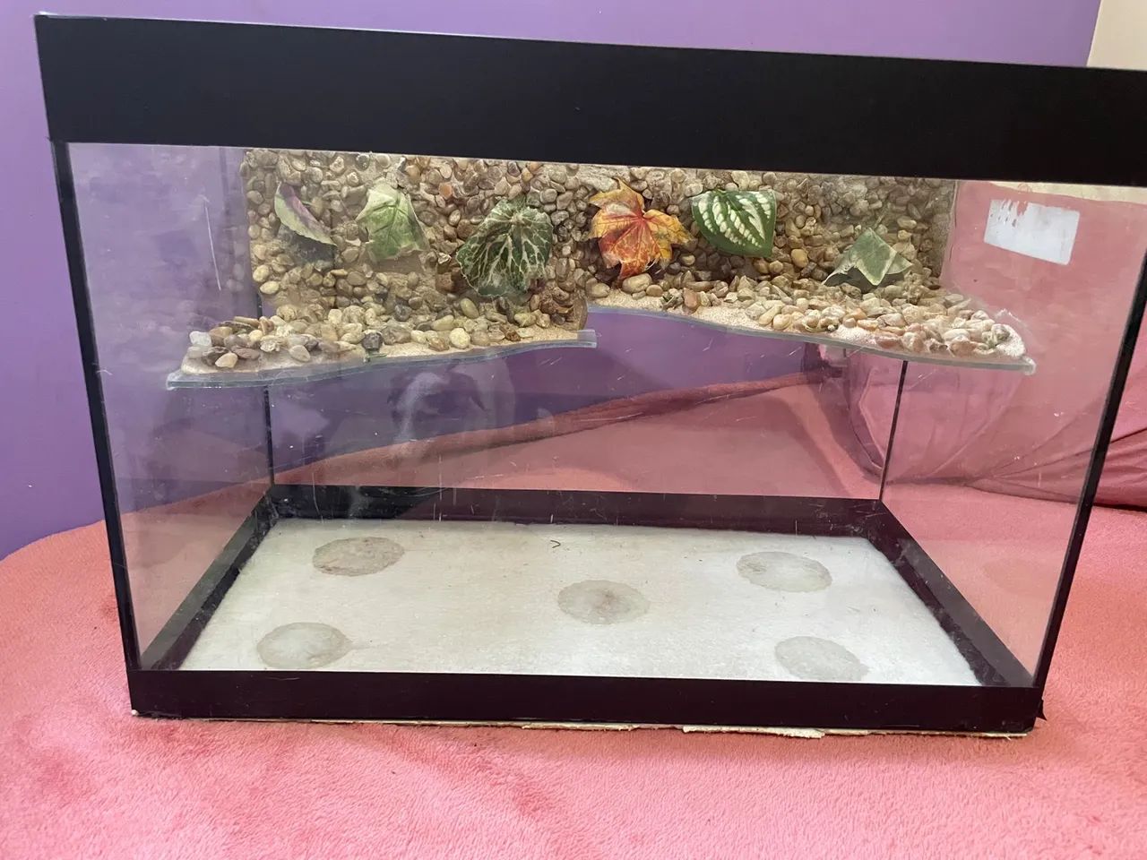 Aquaterrario para tartaruga de vidro 20L com decoração - Foto 4