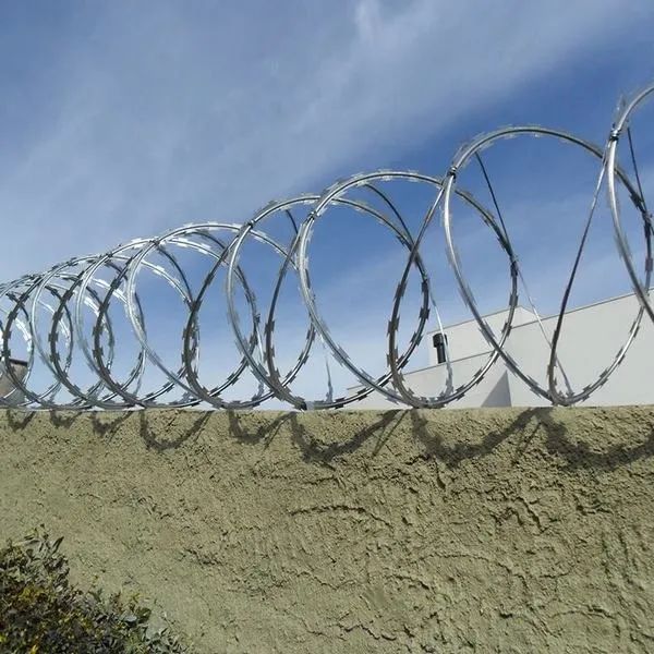 Concertina Perimetral - Foto 2