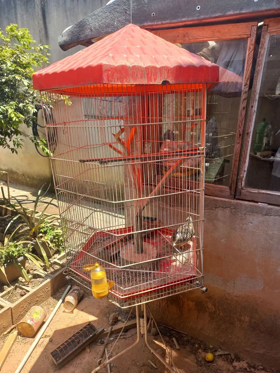 Cages 64298781682307123