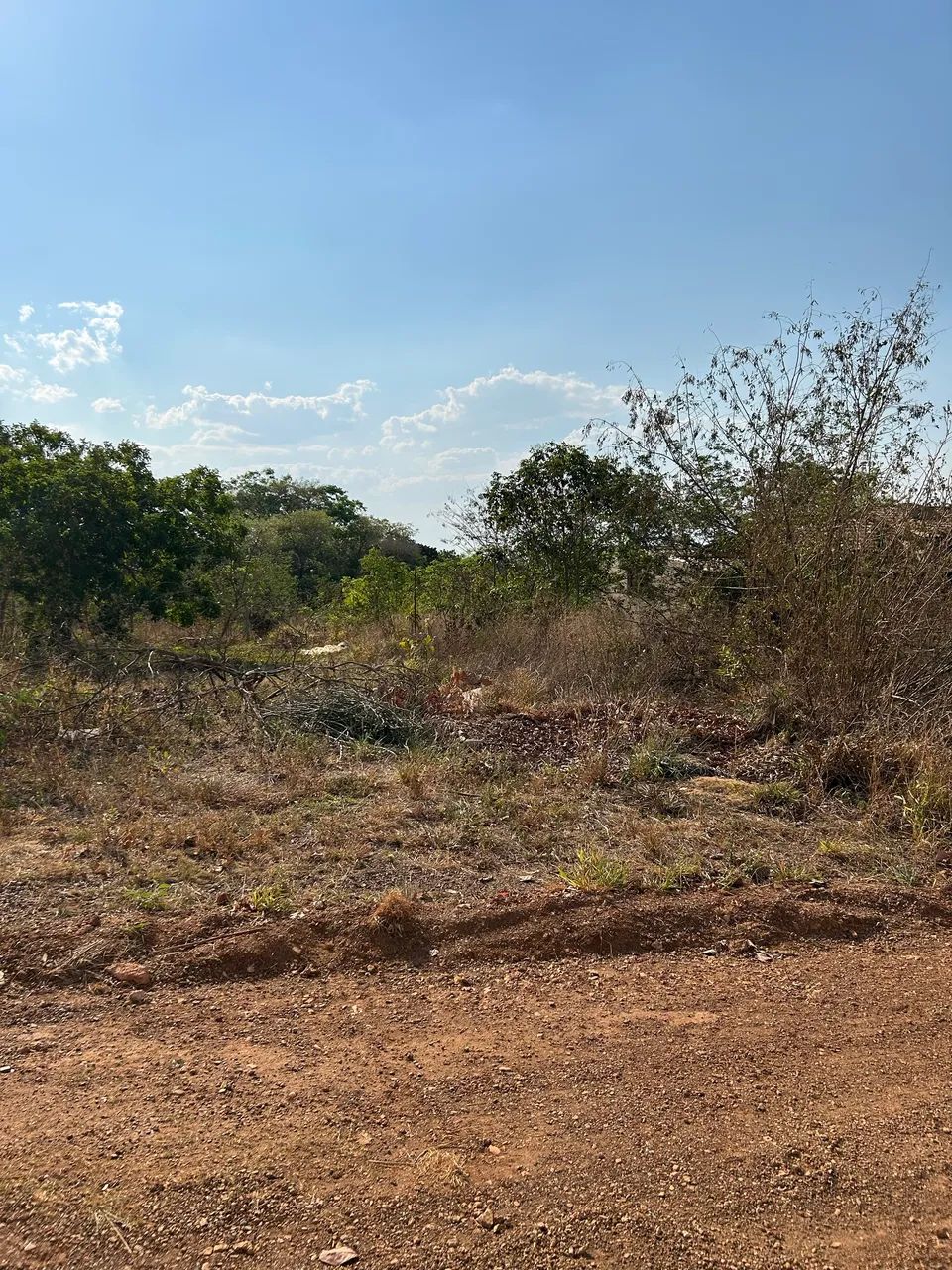 Terreno em Chapada - Foto 12