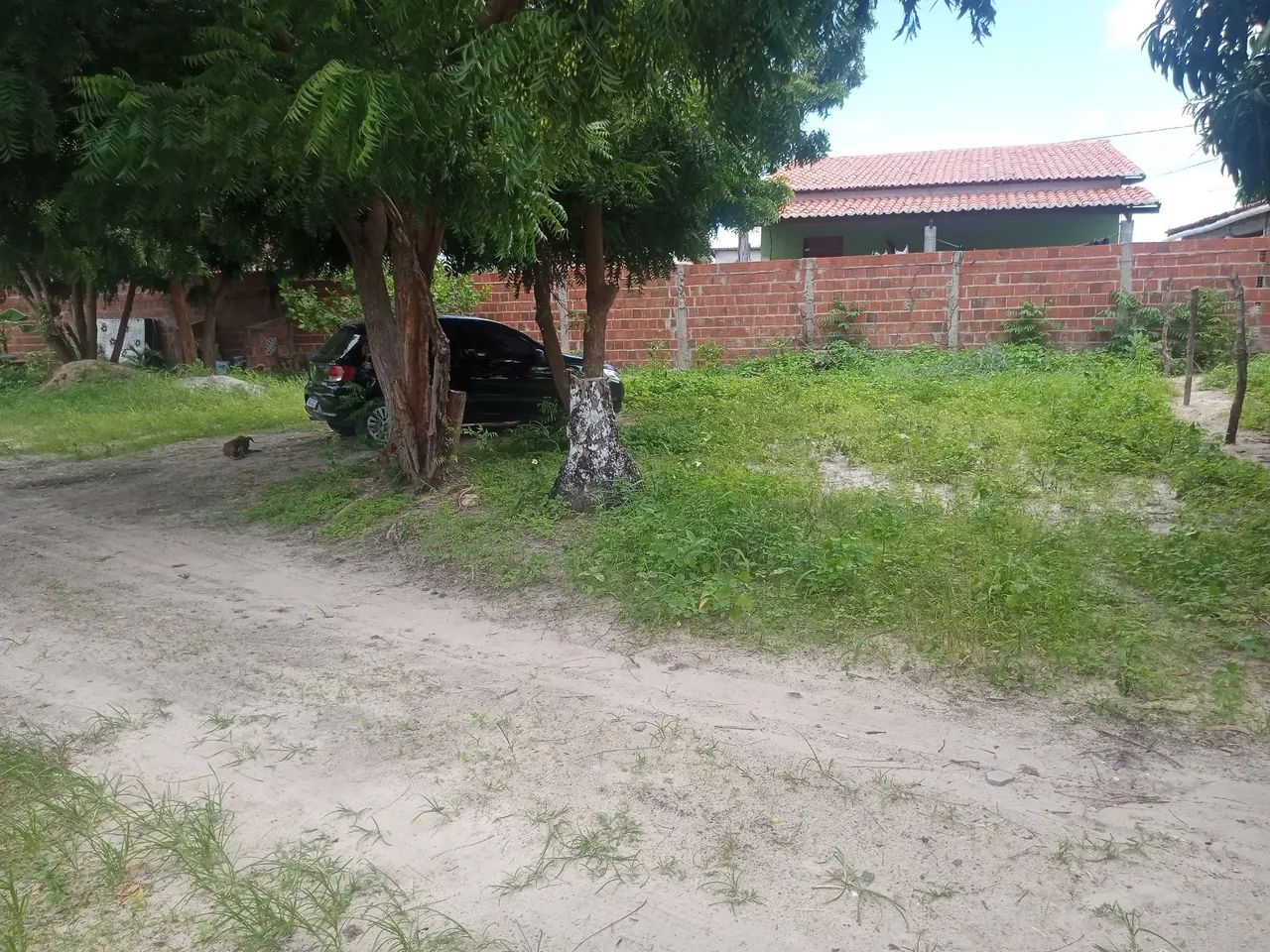 Vende-se este terreno em Pindoretama.(Pratius 1) Aceito troca em carro. - Foto 2