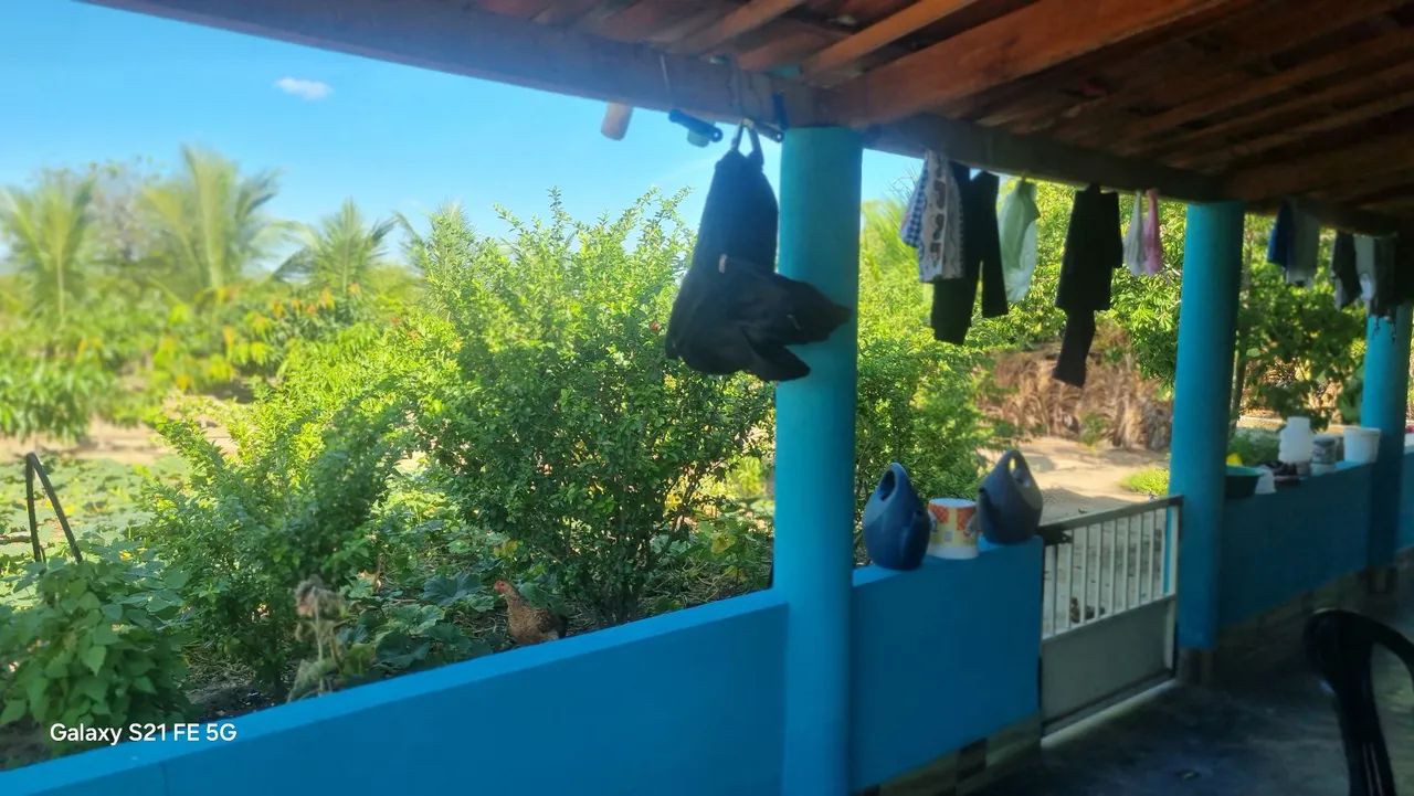 Chácara  - Foto 5