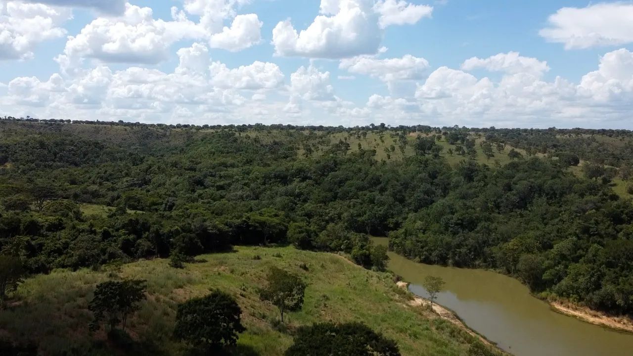 Maravilhosa fazenda 253 hectares rica Água - Foto 5