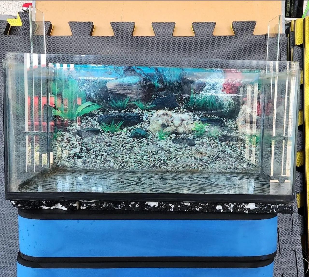 Aquário 70l para peixes