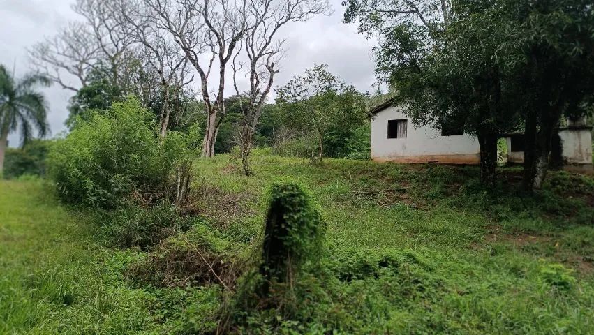 Ótimo sítio venda em São João Nepomuceno MG.  - Foto 2