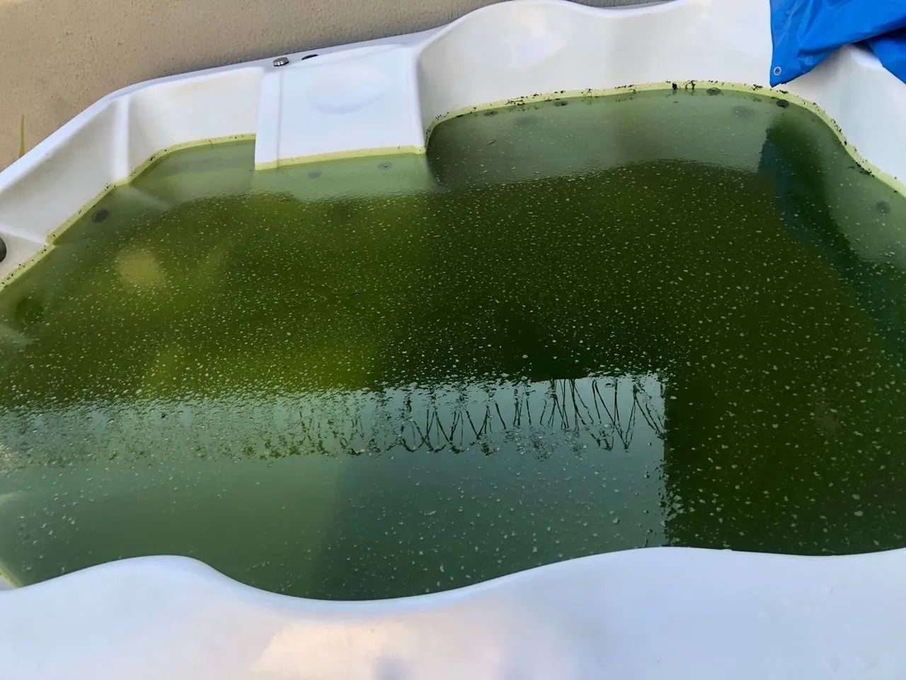 Limpeza de Piscina - Profissionais Experientes - Foto 4