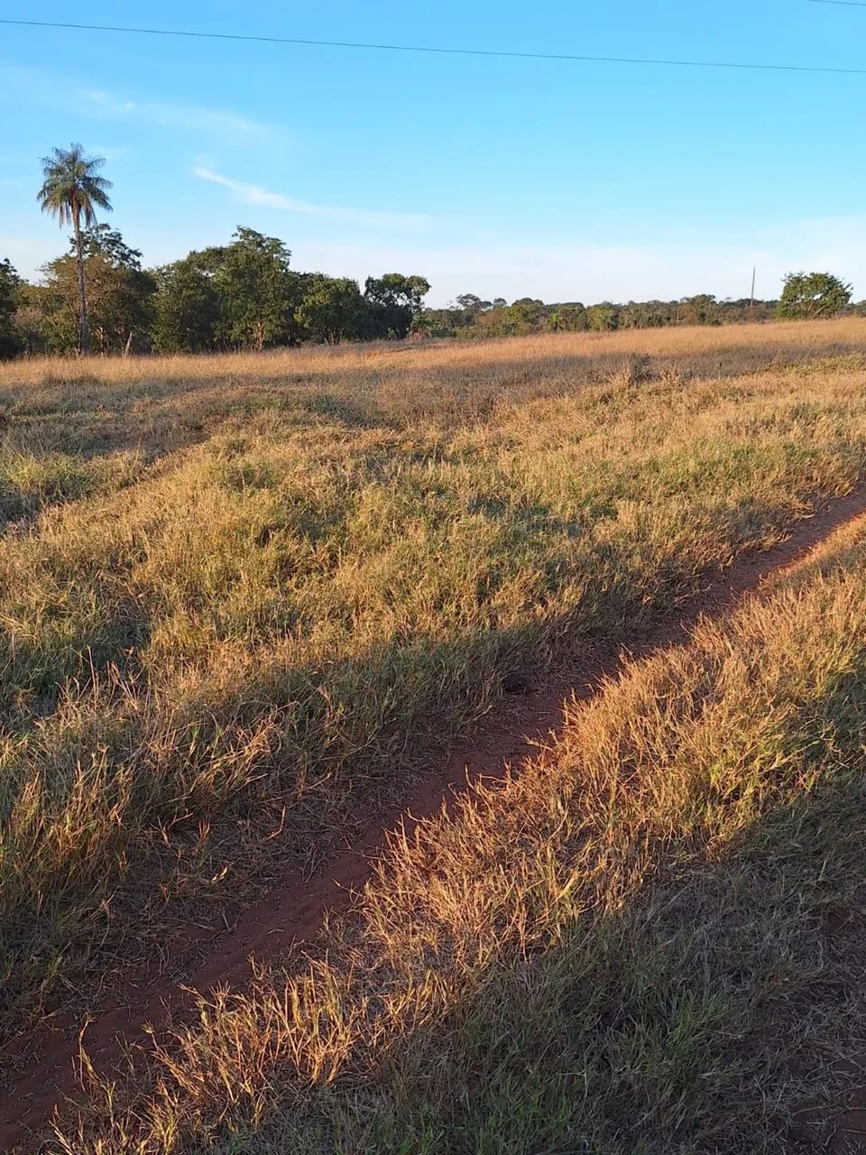Fazenda no prata 3 milhões  - Foto 4