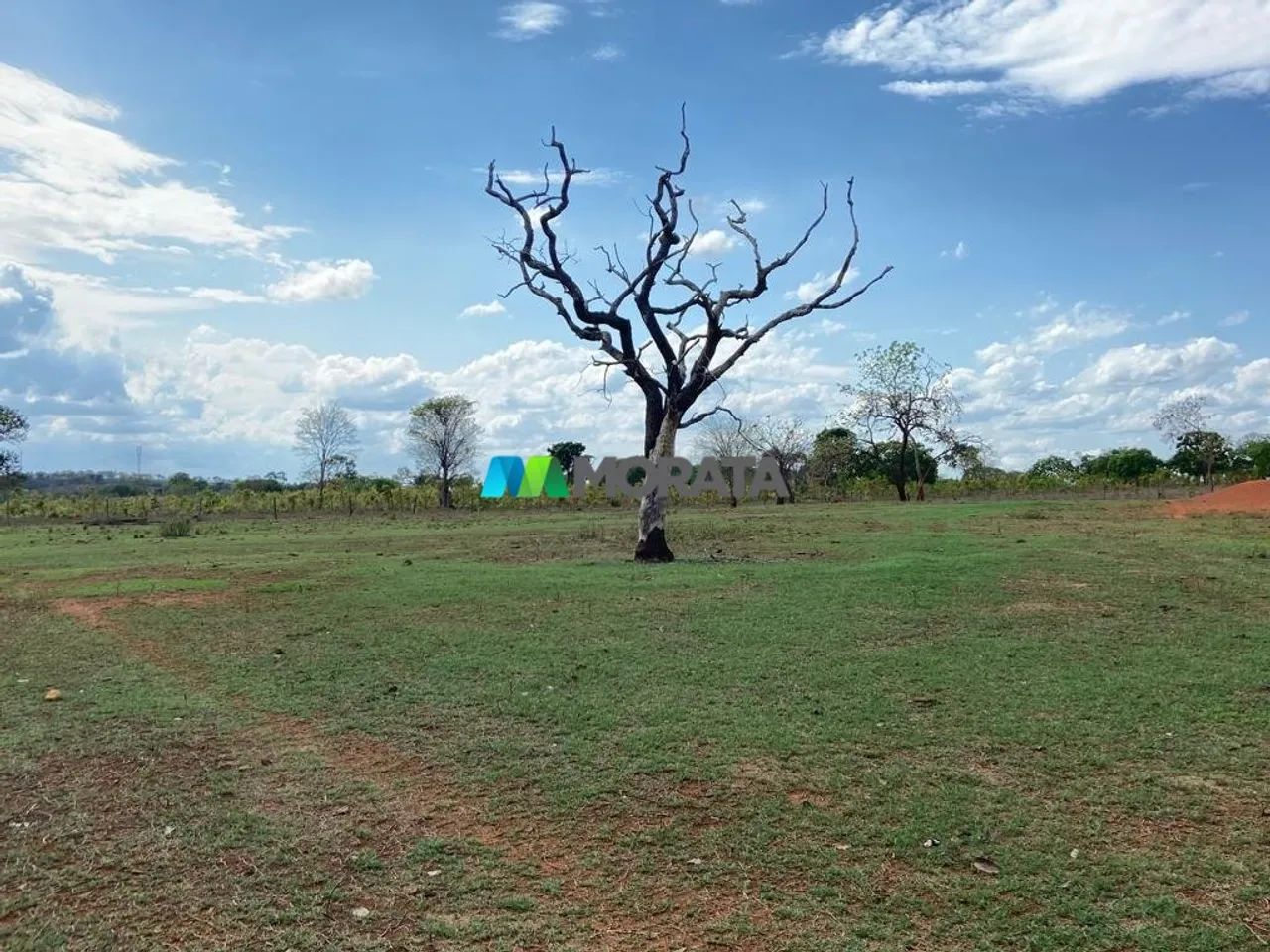 FAZENDA À VENDA - 812 HECTARES - REGIÃO DE CURVELO (MG) - Foto 3