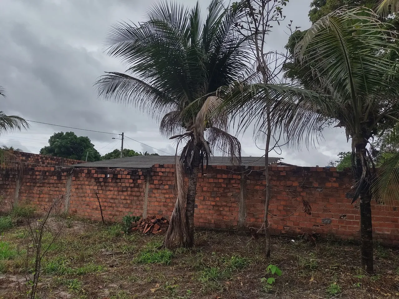 Vendo sítio na Vila Vitória em Paço do Lumiar.