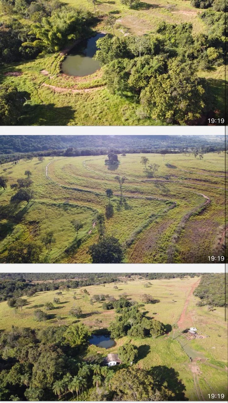 Fazenda pra pecuária em campina verde 