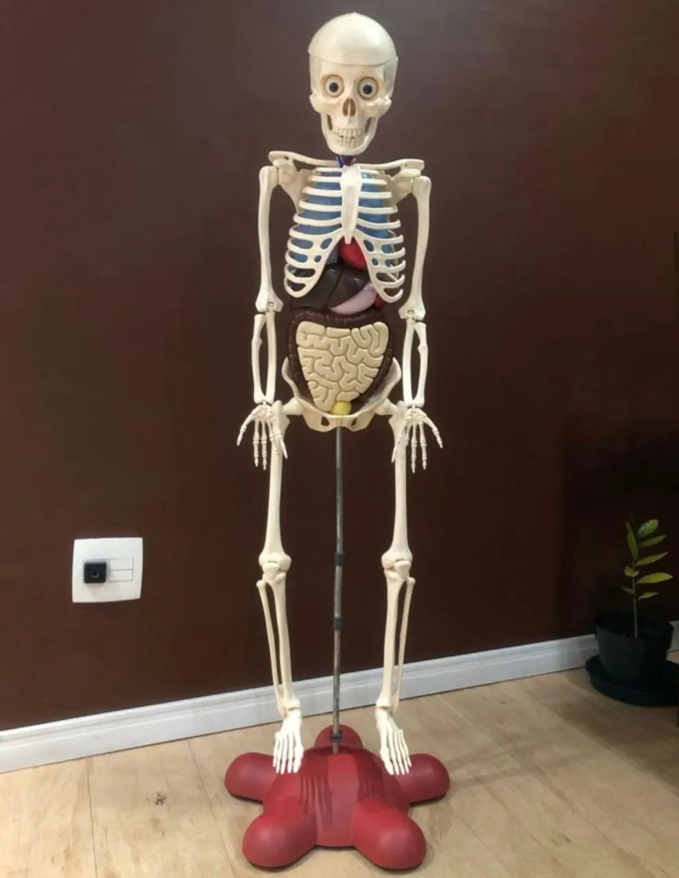 Boneco corpo humano completo salvat - Foto 5