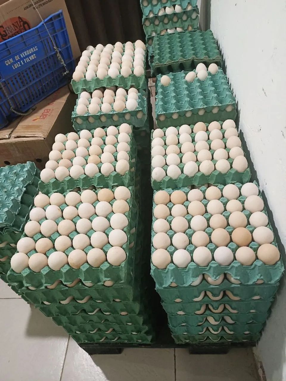 Caixa Ovos de capoeira 