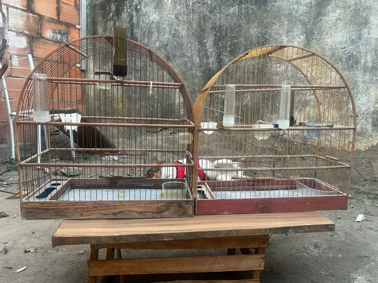 Gaiolas  - Foto 2