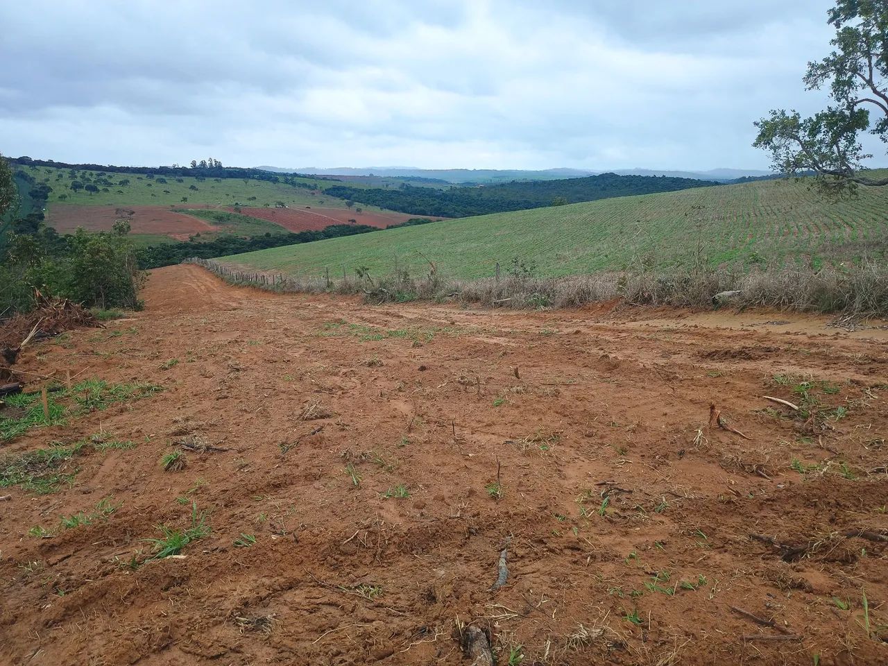 Fazendinhas 20.000m² em Itaguara  - Foto 8