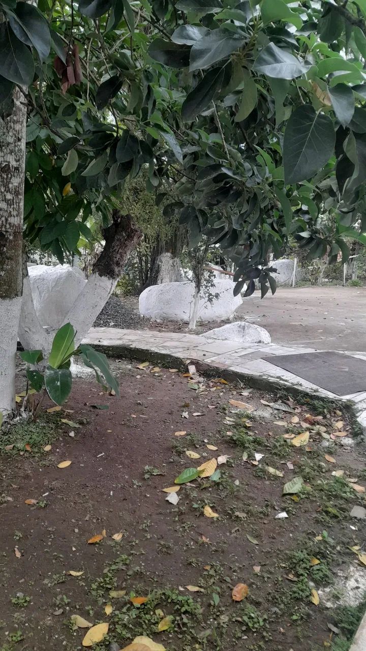 Nini sitio  - Foto 2