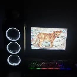 Pc gamer 
