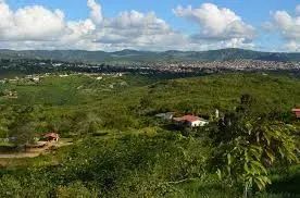 Área na Serra do Maroto, Ótimo Preço - Gravatá - PE - Foto 3