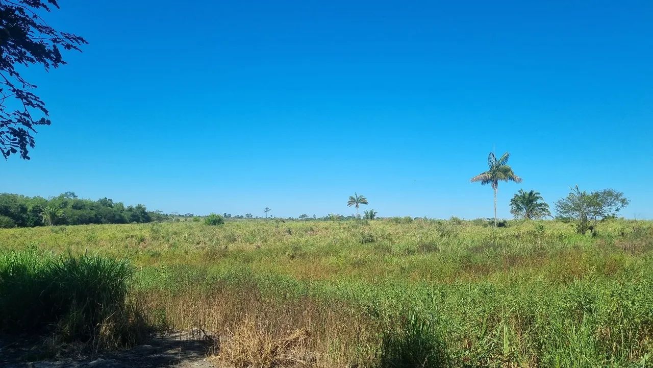Vende-se essa terra bem localizada em Marabá - Foto 4