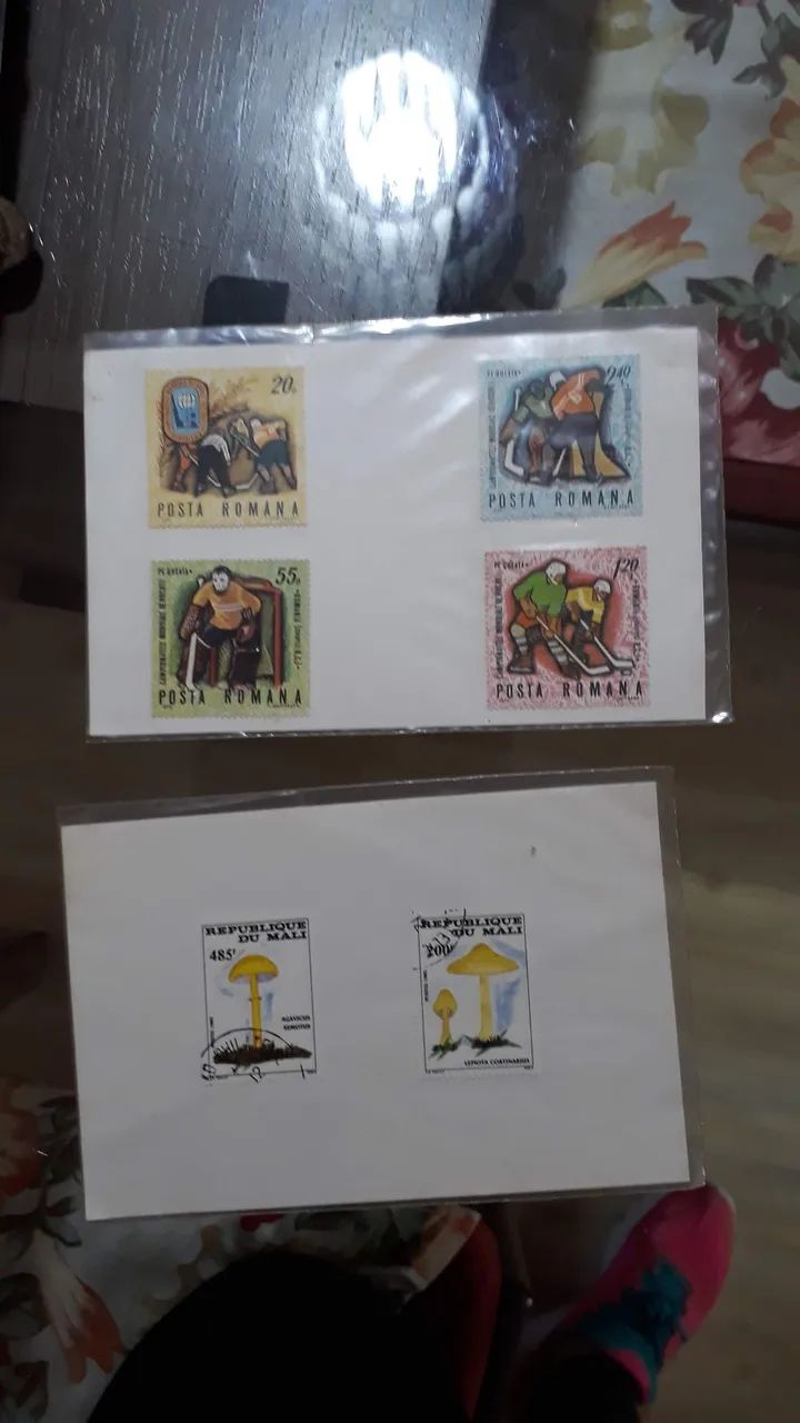 Coleção 