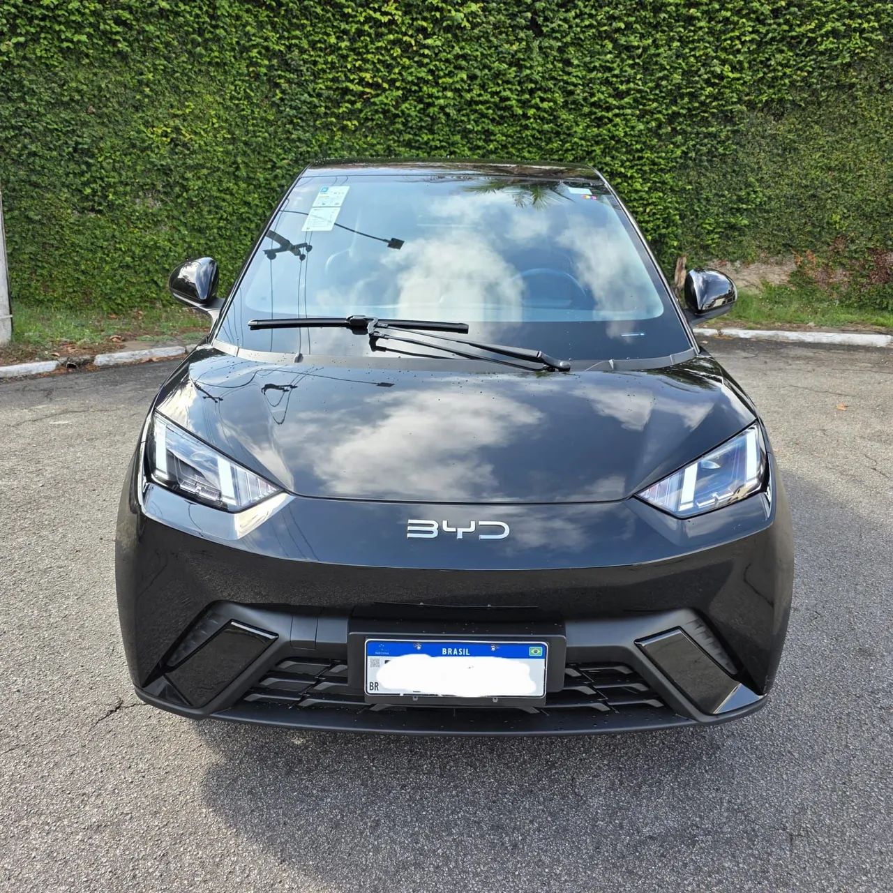 BYD Dolphin Mini (Elétrico) 2025 - Foto 2