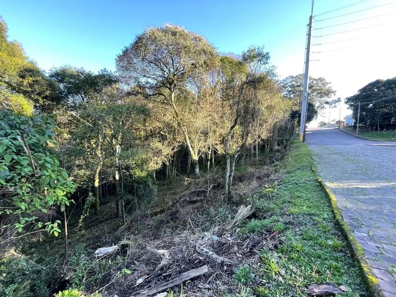 CAXIAS DO SUL - Terreno Padrão - CRUZEIRO - Foto 5