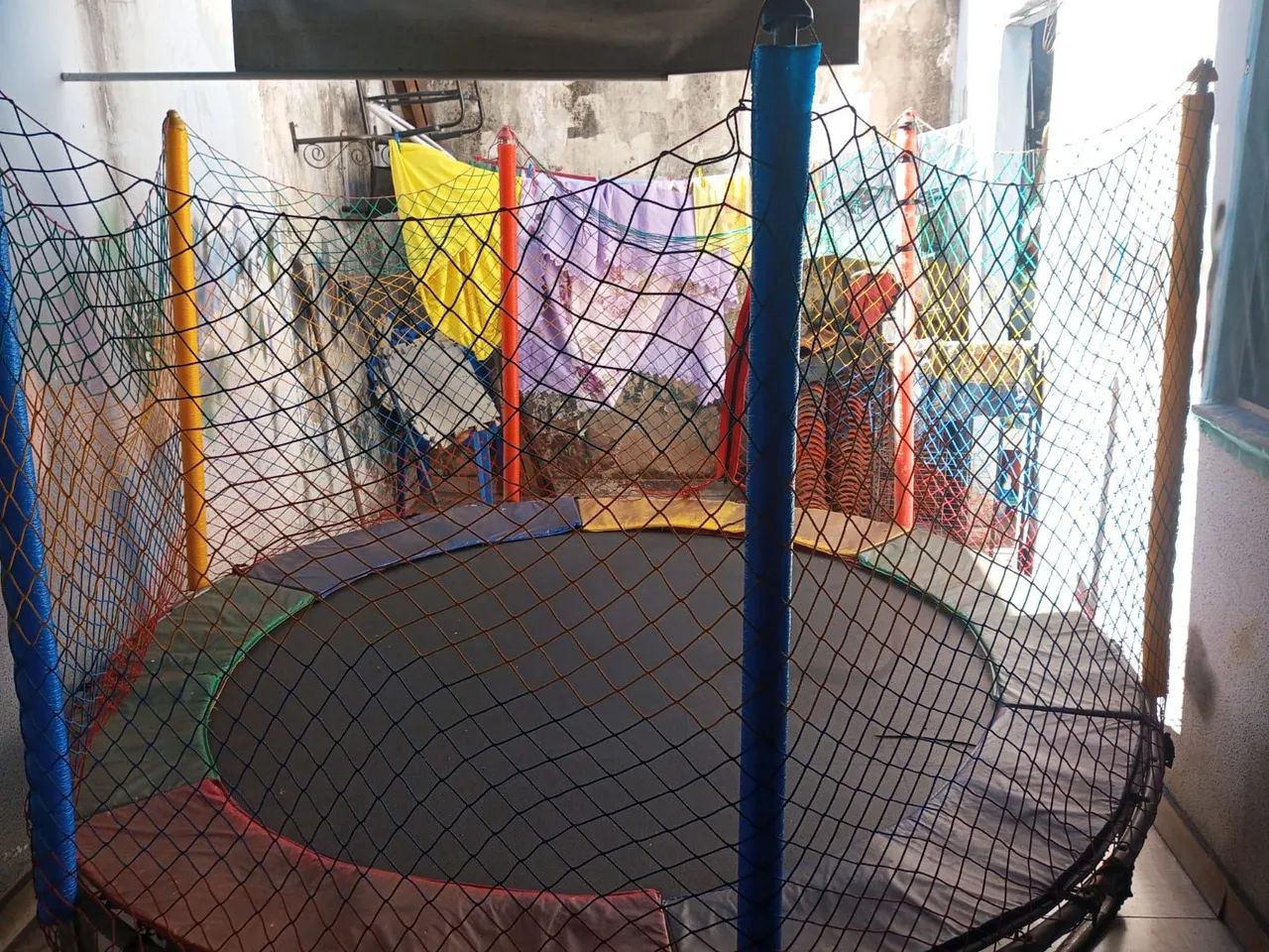 Pula pula  - Foto 4