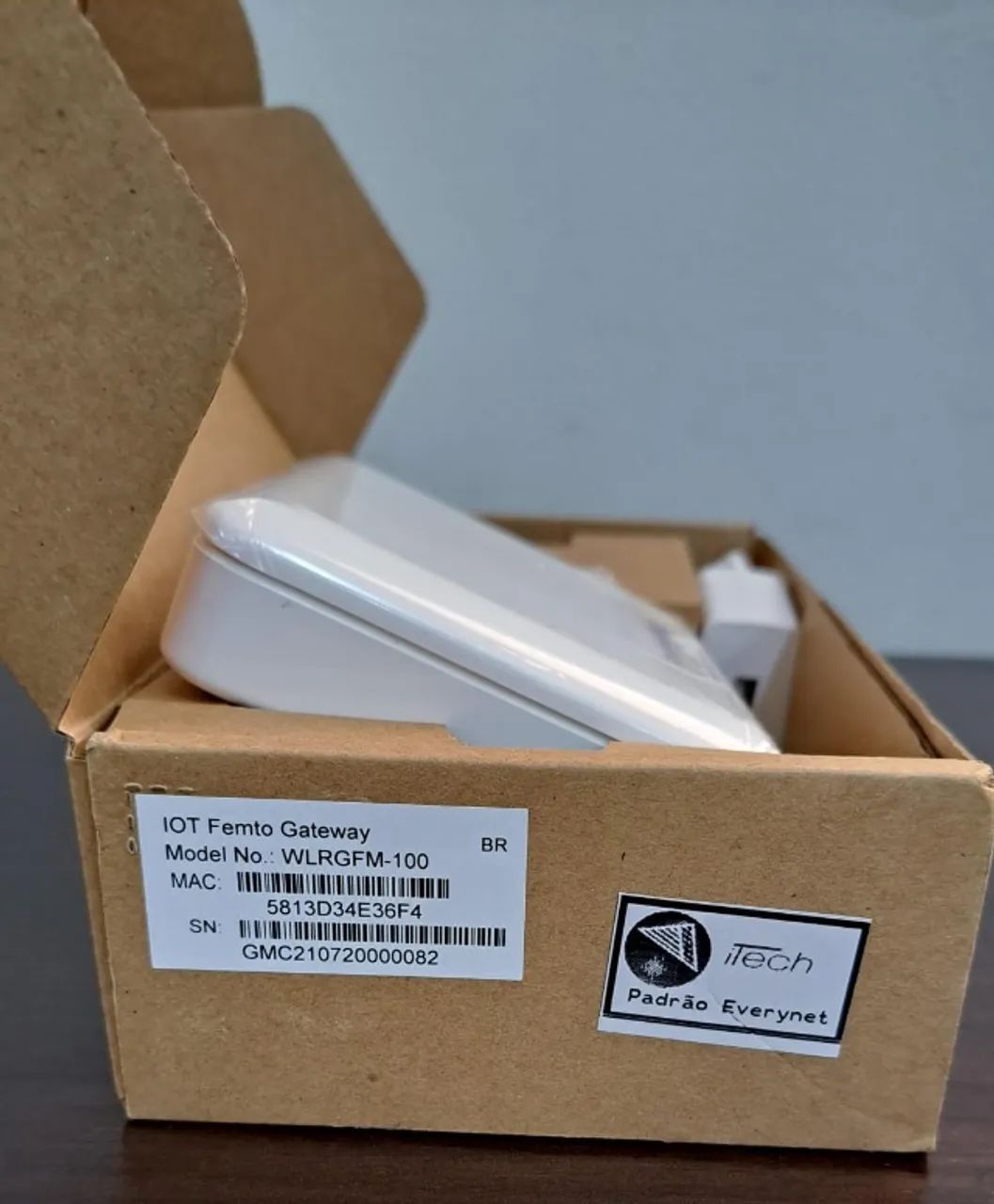 GATEWAY - LORAWAN WLRGFM-100 - Foto 2