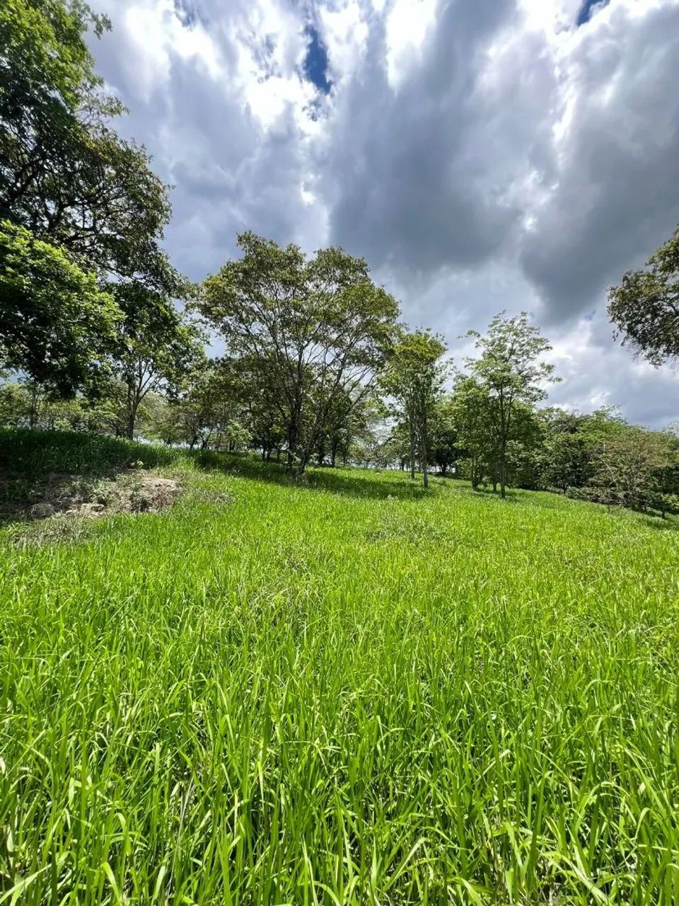 Terreno de 5 mil metros em itaguara  - Foto 5