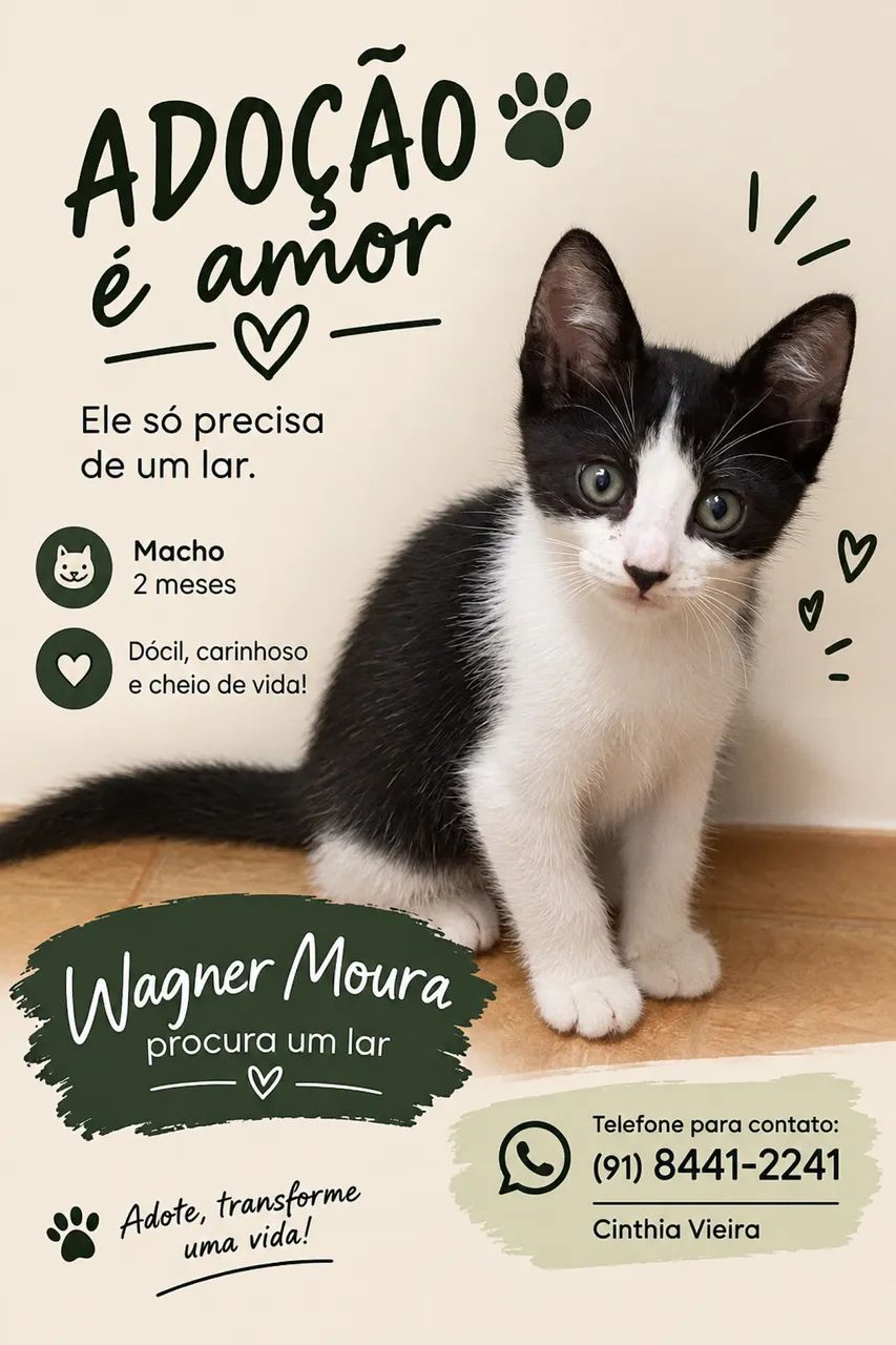 Adoção de gatinho 