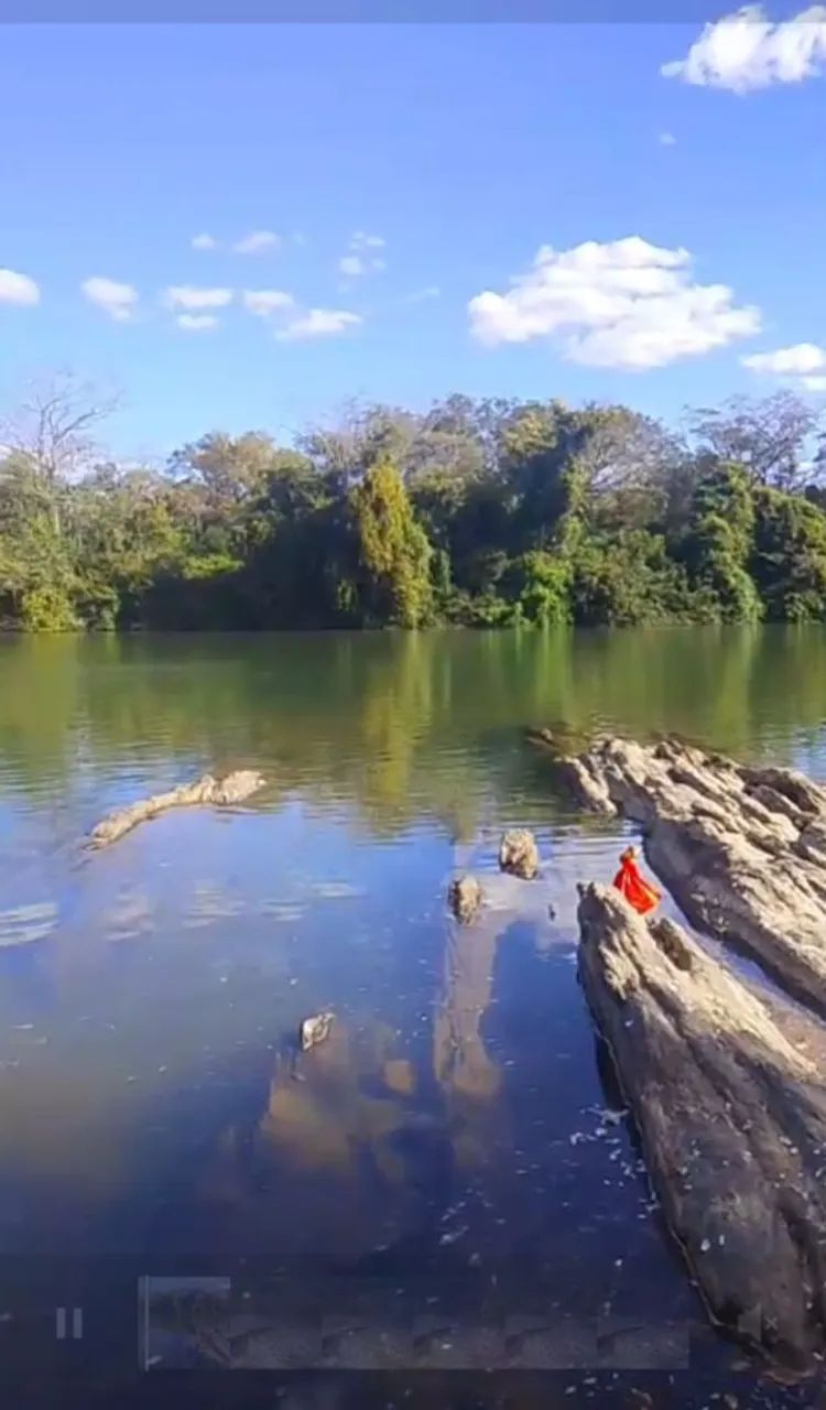 Chácara no município de chapada da natividade  - Foto 3