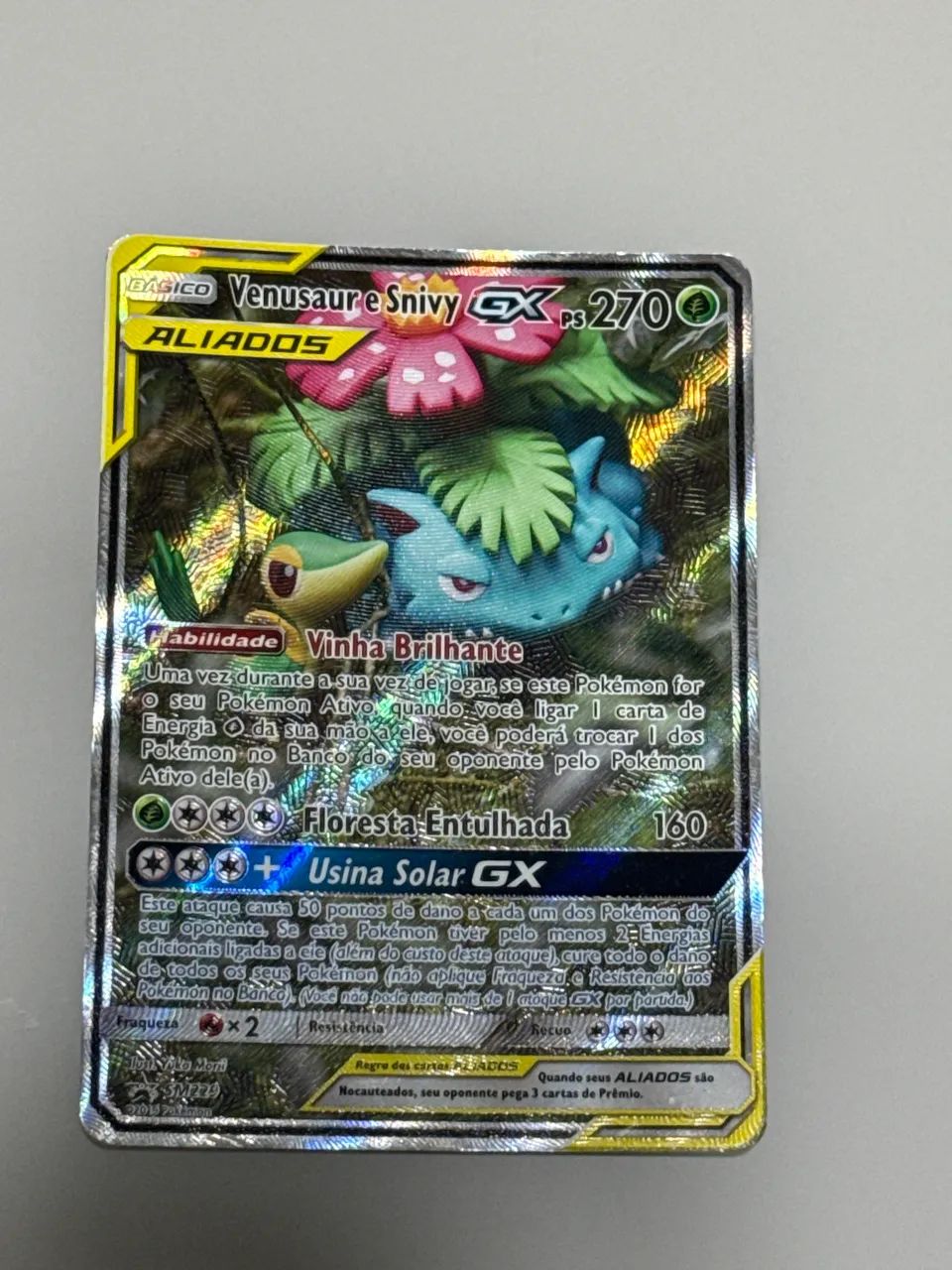 Venusaur e snivy GX 