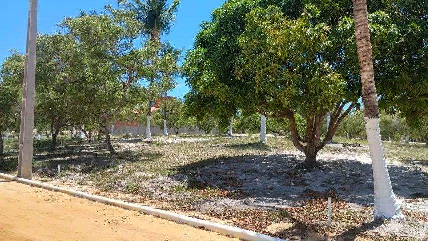 Terreno em Lagoa Redonda  - Foto 3