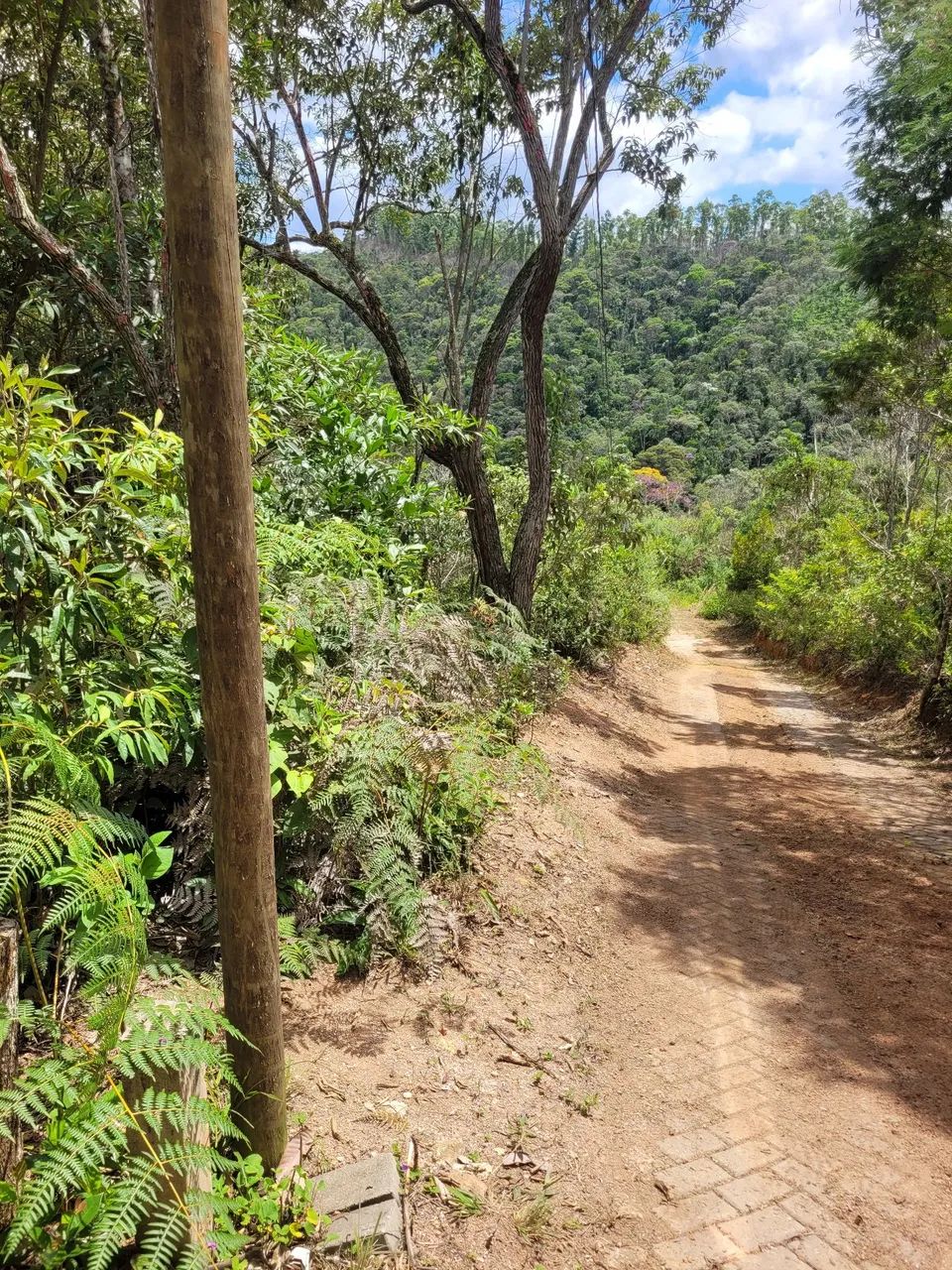 TERRENO NA NATUREZA: 1.100m2 C/ PAVIESSE, ÁGUA (CESAN) E LUZ - MARECHAL FLORIANO/ES