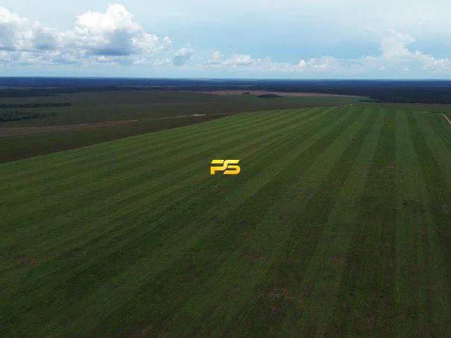 Fazenda 1.4 ha em Tupiratins à Venda REF: PS6181 - Foto 3
